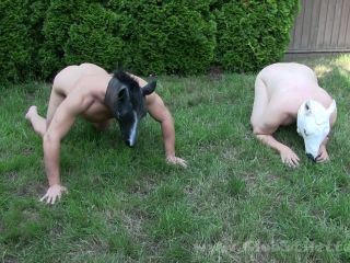 Club Stiletto FemDom ballbusting kinky mistress – Ponies Gone Wild